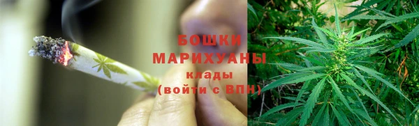 тгк Каменногорск