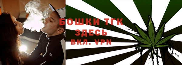 spice Каменка