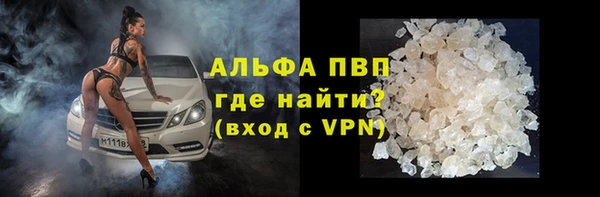 тгк Каменногорск