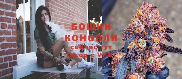 spice Каменка