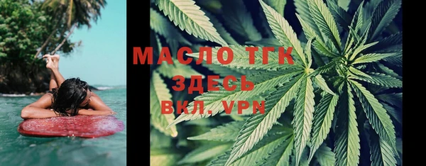 тгк Каменногорск