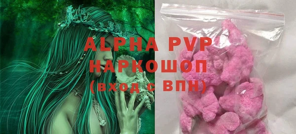 тгк Каменногорск
