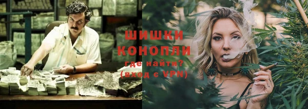spice Каменка
