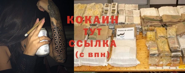 тгк Каменногорск