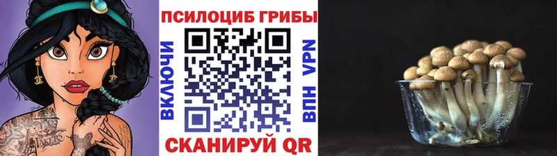 Псилоцибиновые грибы мухоморы  Купить  Бахчисарай 